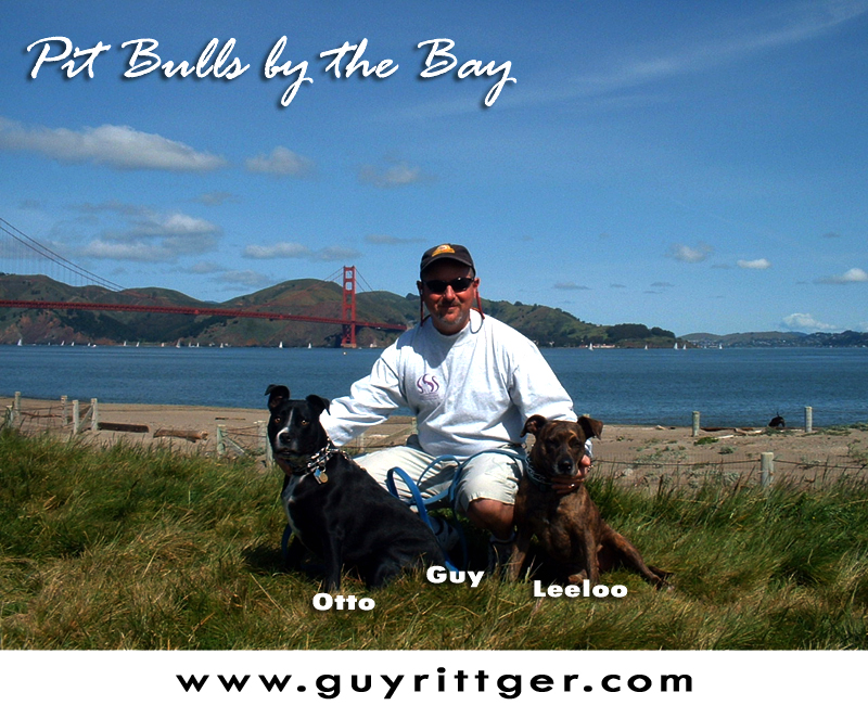 Welcome to guyrittger.com!